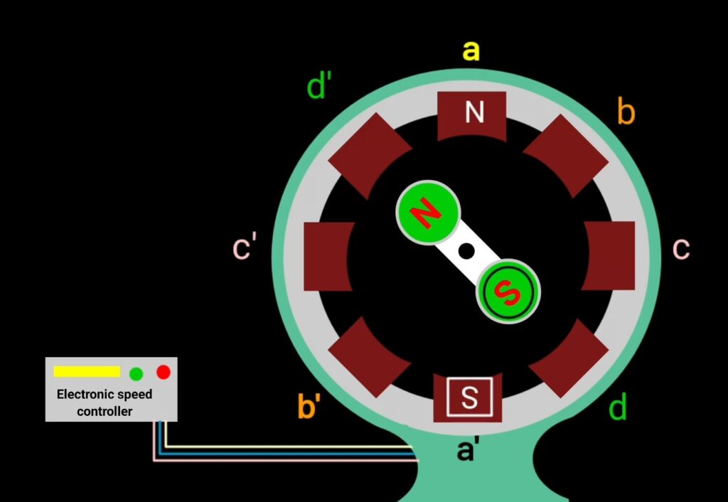 brushless dc motor